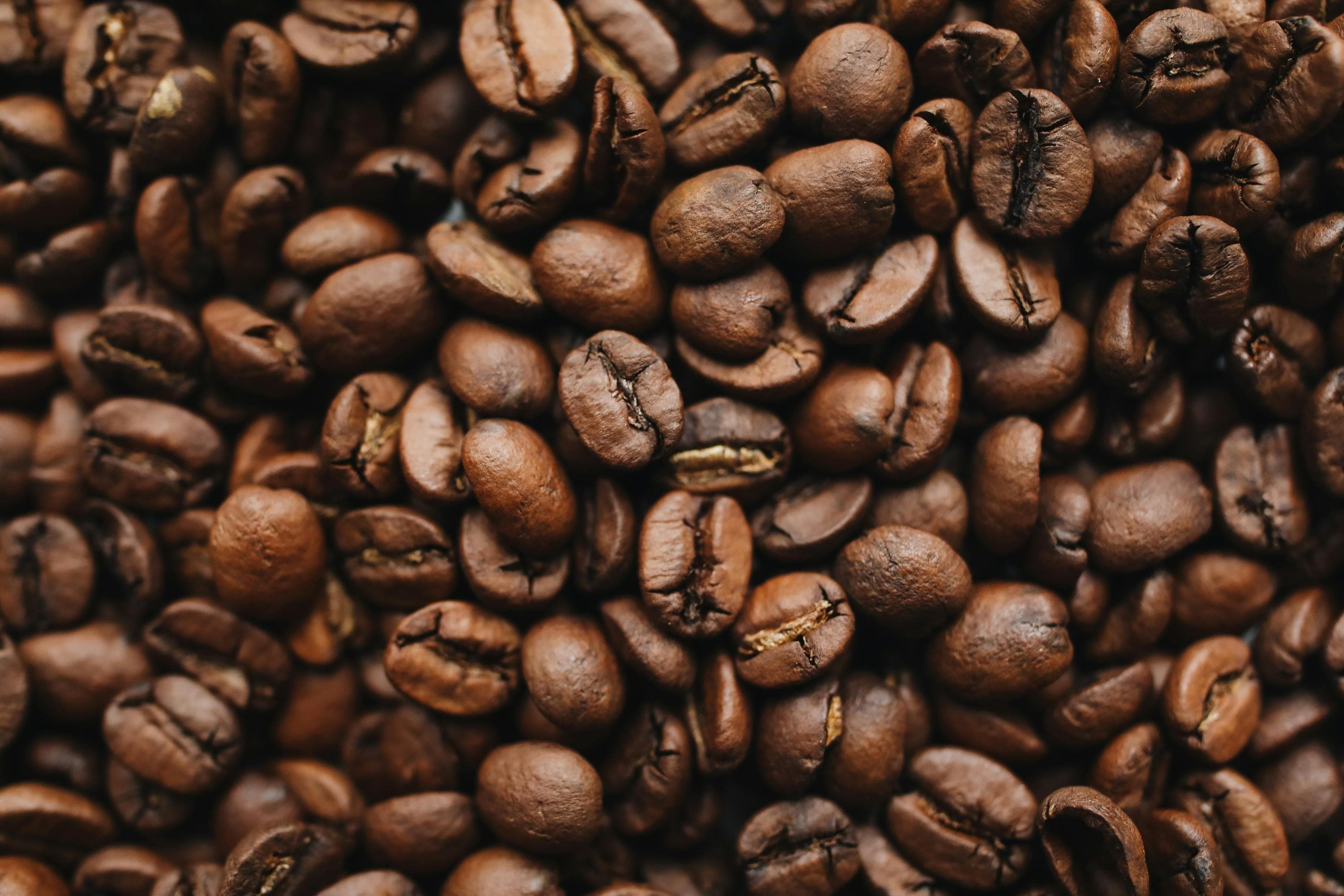 Close-up of specialty coffee beans