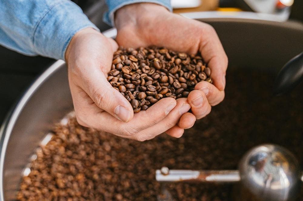Fresh roasted coffee beans in hands